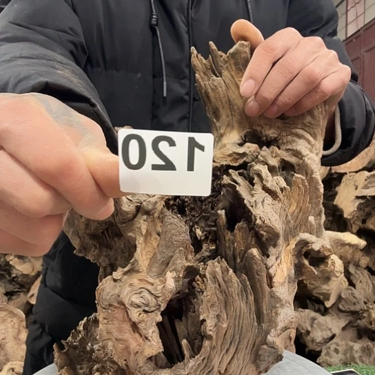 用****4紫砂噜啦啦啦啦啦啦
