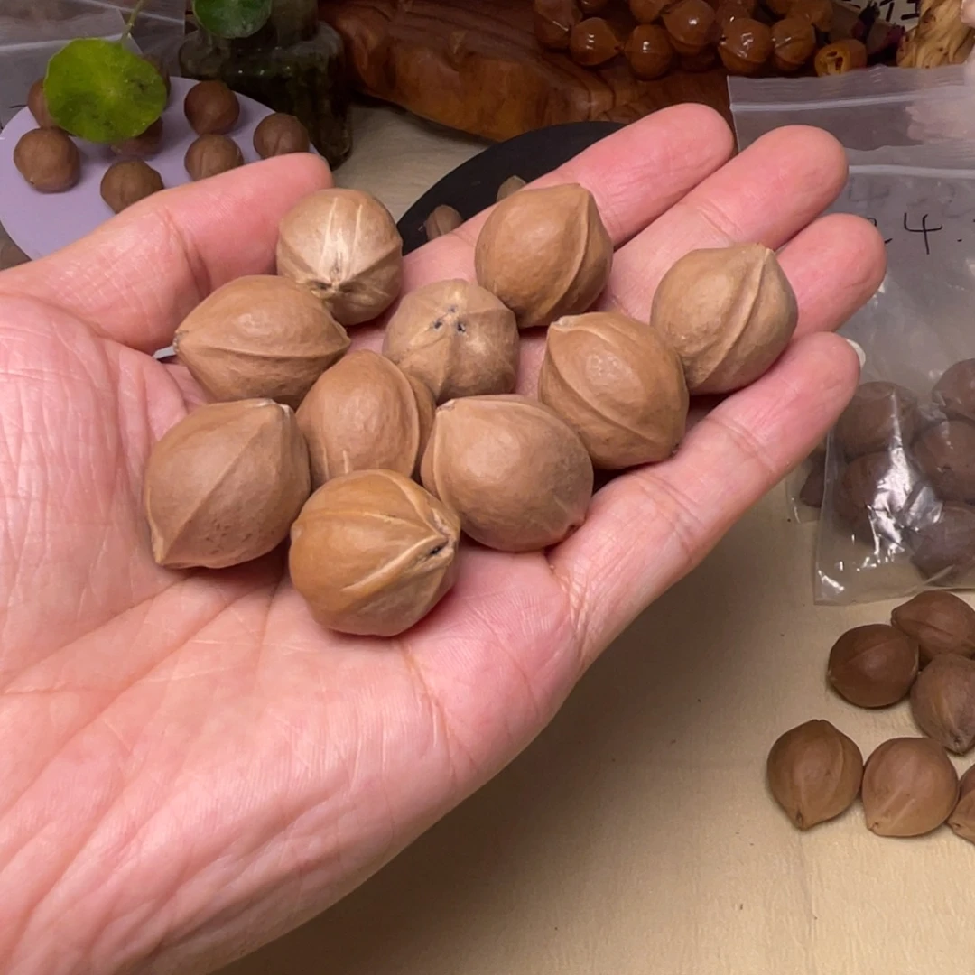 橄榄核手串/手链梅林铁核头货三花2026