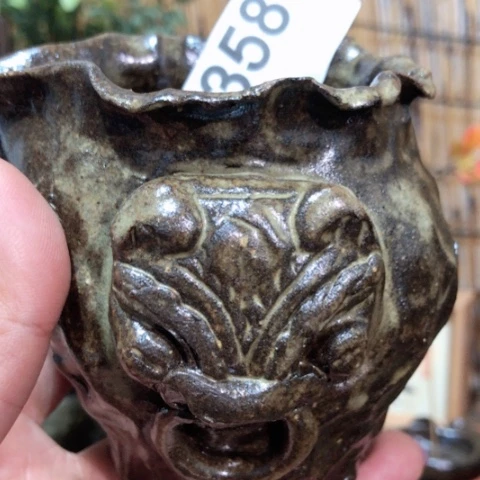 木有一点点的小姐姐