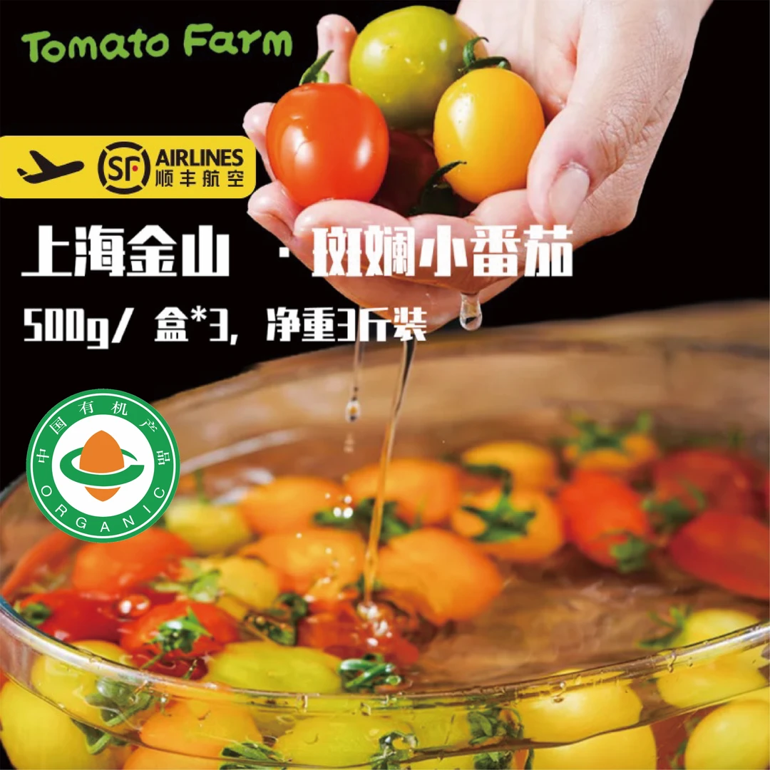 【有机斑斓小番茄 浓郁番茄味】上海有机小番茄3斤（3-5个品种混发）