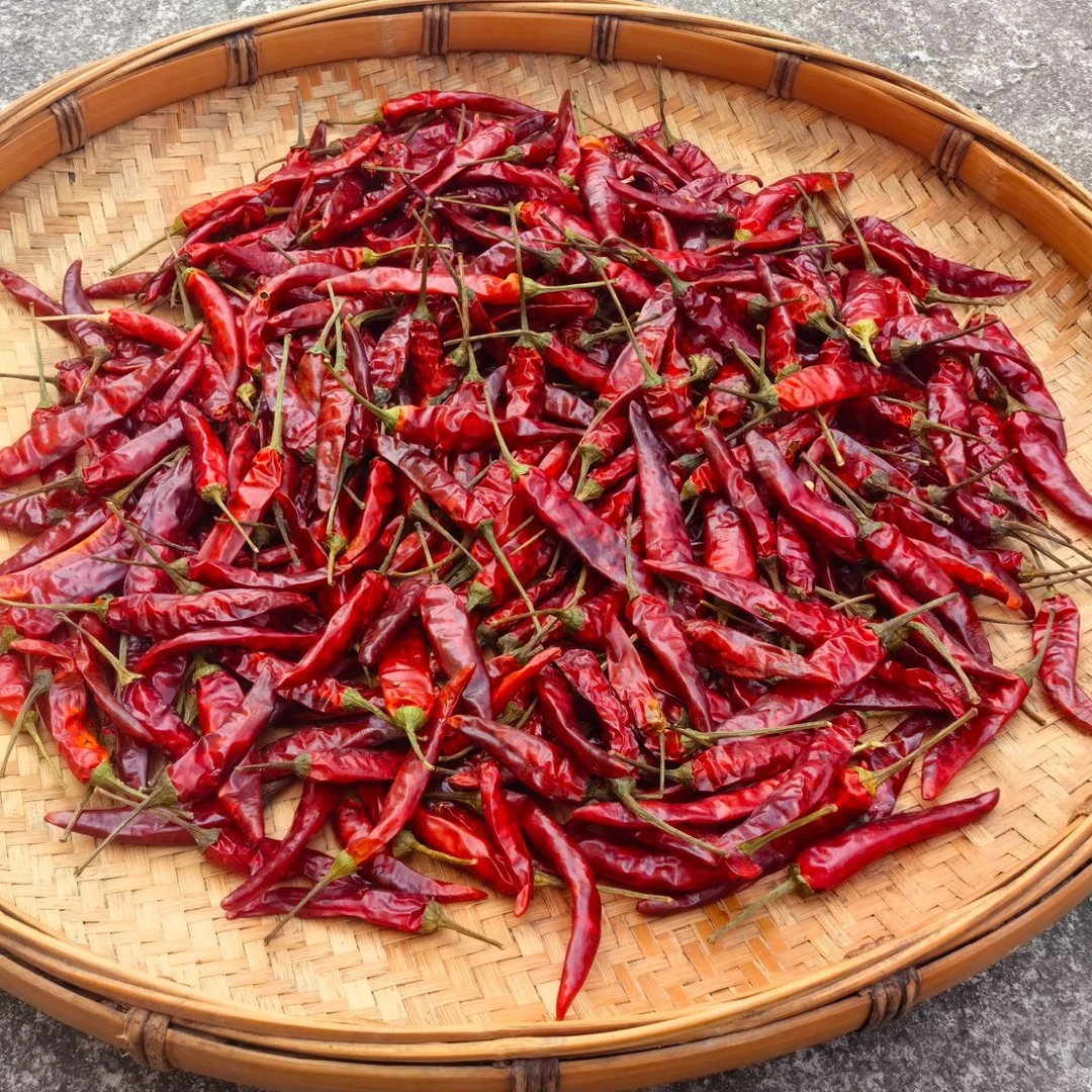 贵州松桃特产干辣椒艳椒中辣特香