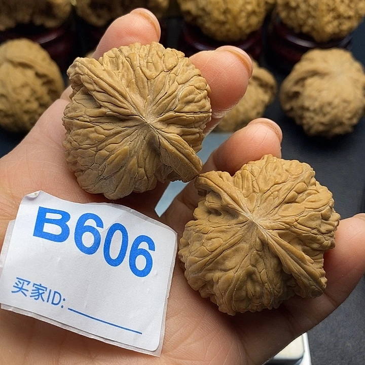核桃磨盘4.2，正磨