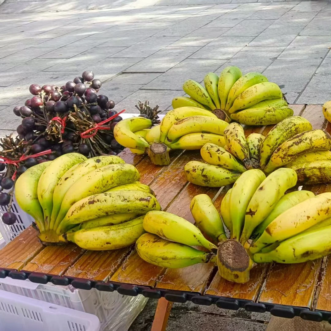 凤庆江边香蕉现摘直发当季新鲜软糯香甜苹果蕉