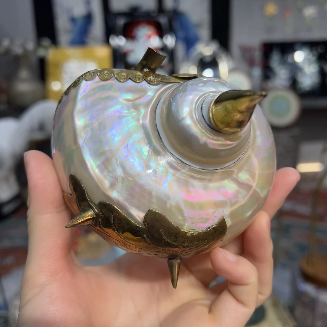 YH-【极光海螺】东南亚天然深海贝壳烟灰缸高级装饰品摆件