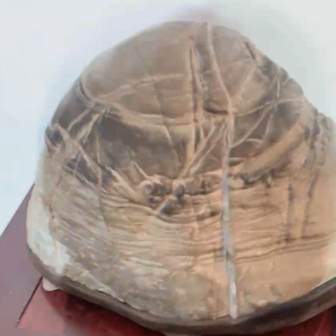 奇石摆件，直播拍品