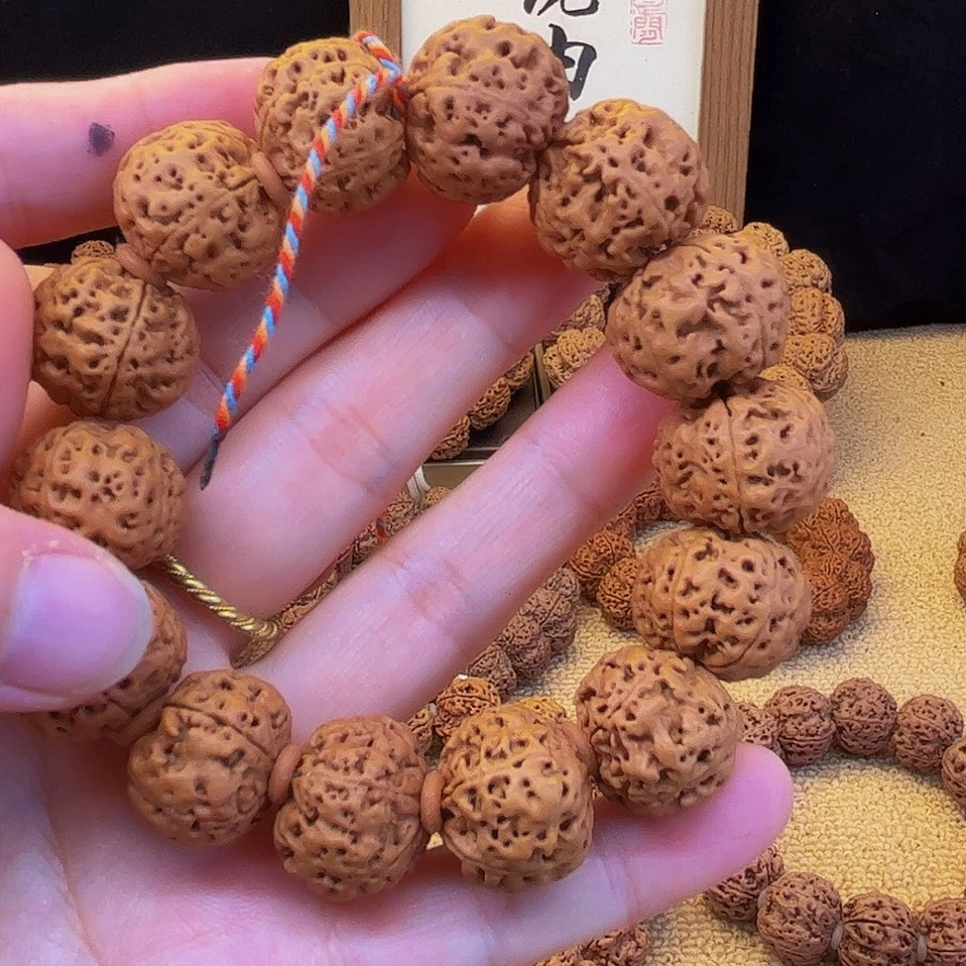 手串金刚菩提梅花五瓣