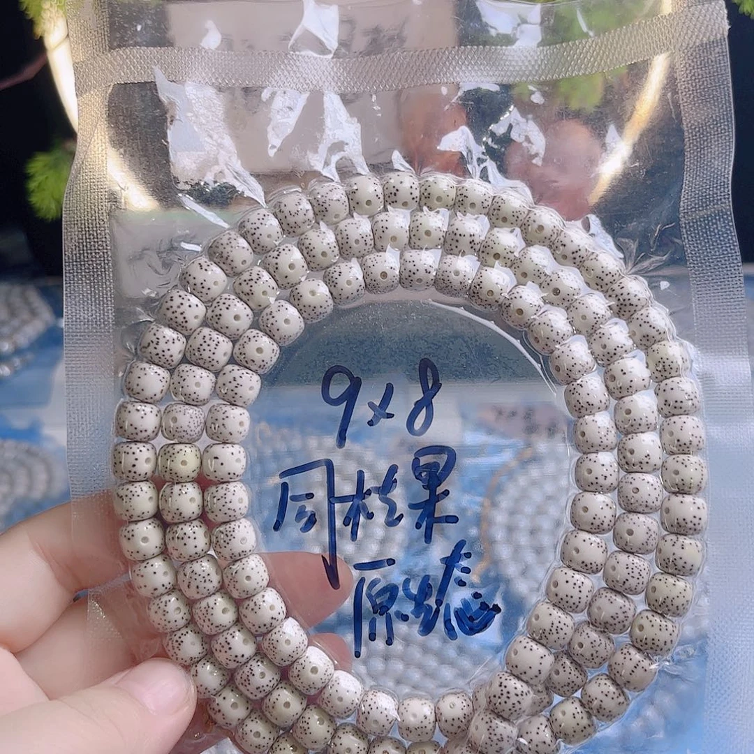 吊坠菩提根/象牙果
