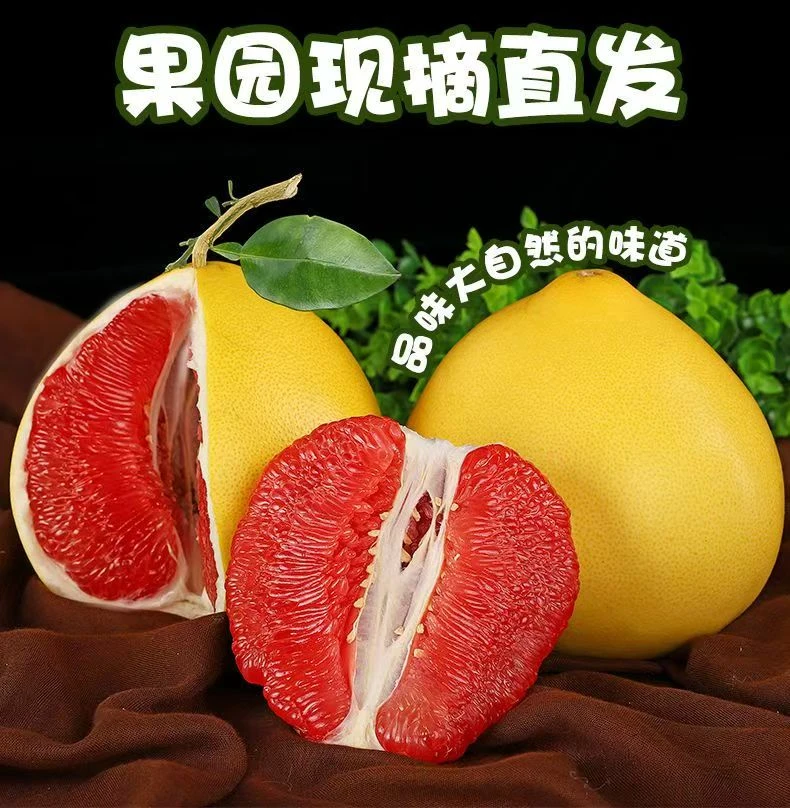 【当天发货】福建平和红心蜜柚头茬皮薄肉厚鲜嫩多汁现摘发孕妇水果