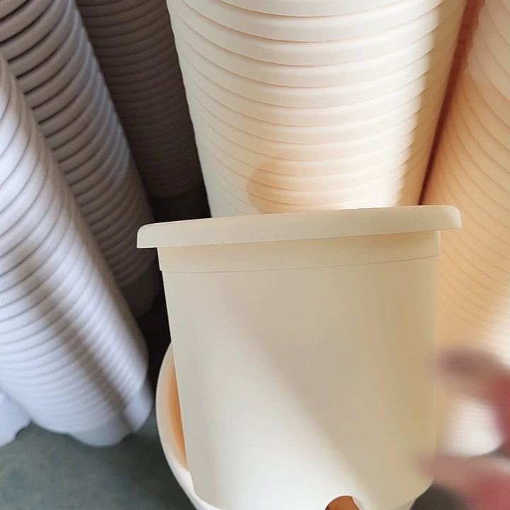 四季3号米黄无托10个特价微瑕