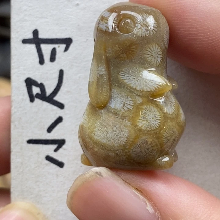 硅化珊瑚（珊瑚玉）未镶嵌颈饰