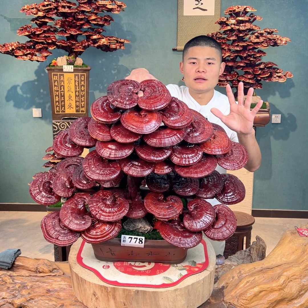 无花朵8888888888888