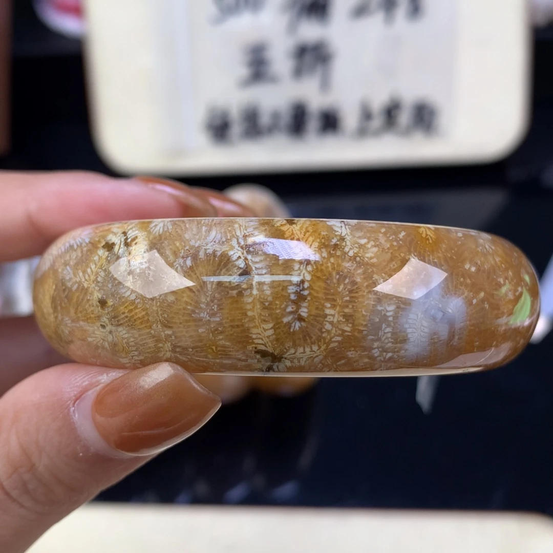 硅化珊瑚（珊瑚玉）未镶嵌颈饰精美手镯五折55.4口（49号）