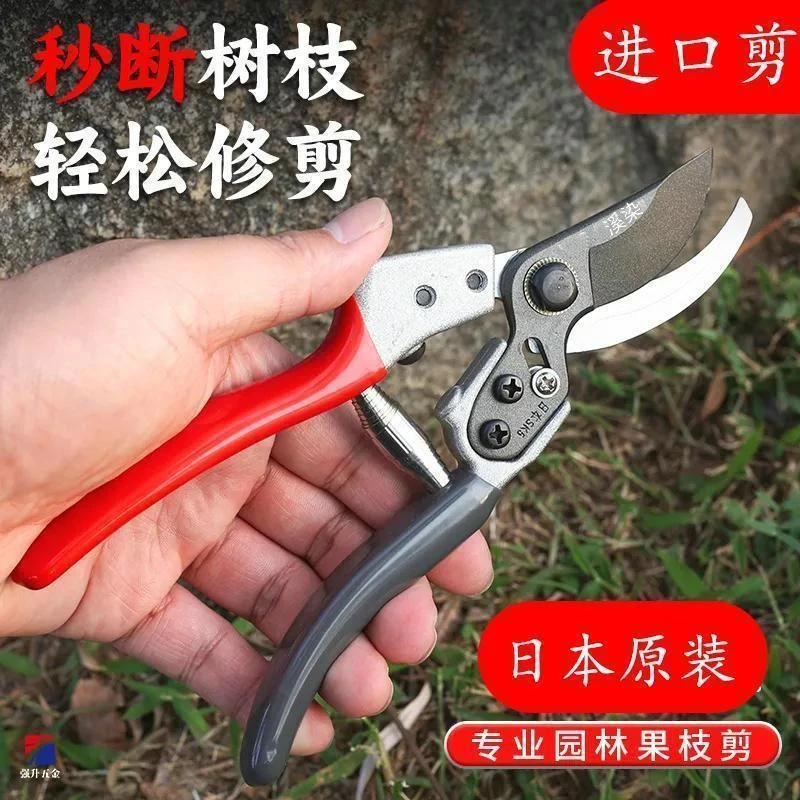 进口SK5修枝剪园艺剪日本原装刀园林果树大号枝剪子花木专用工具