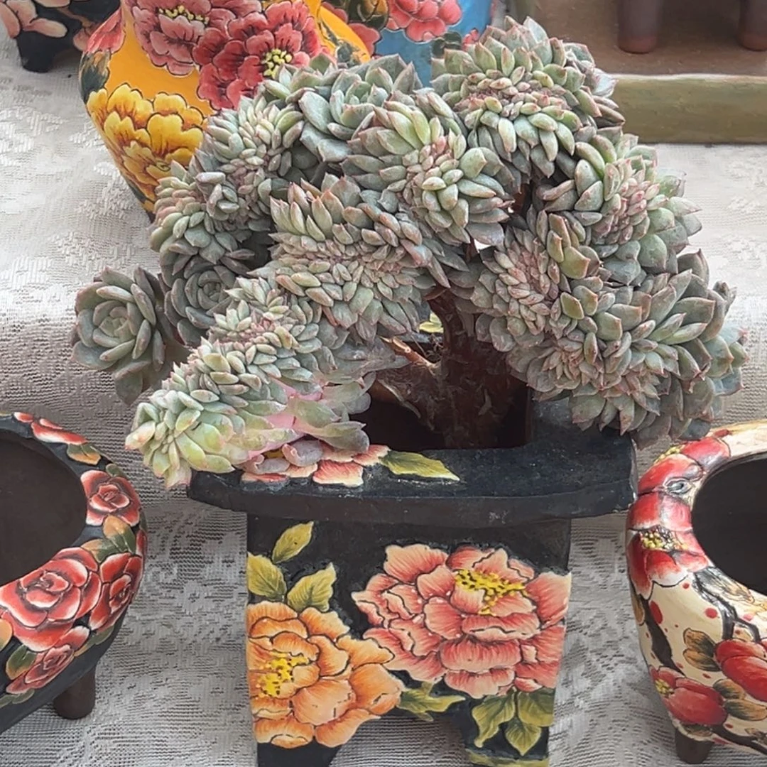 芝****新年快乐 新年快乐