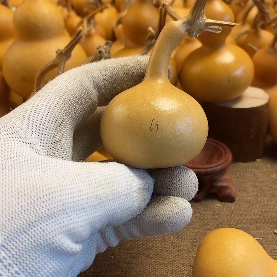 文玩葫芦 完美主义者 慎拍69
