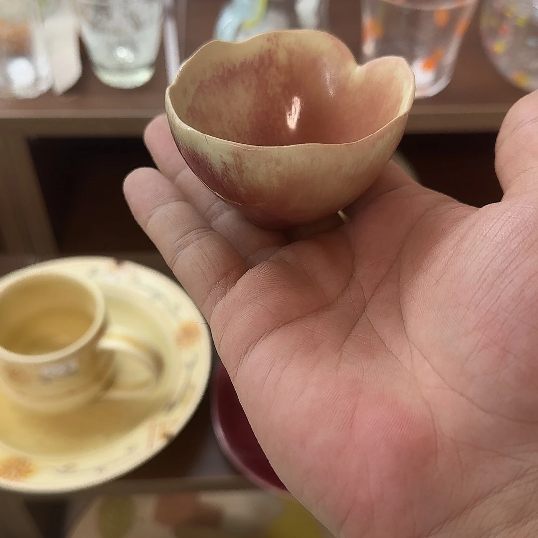 茶盏在家里面玩吗现在才