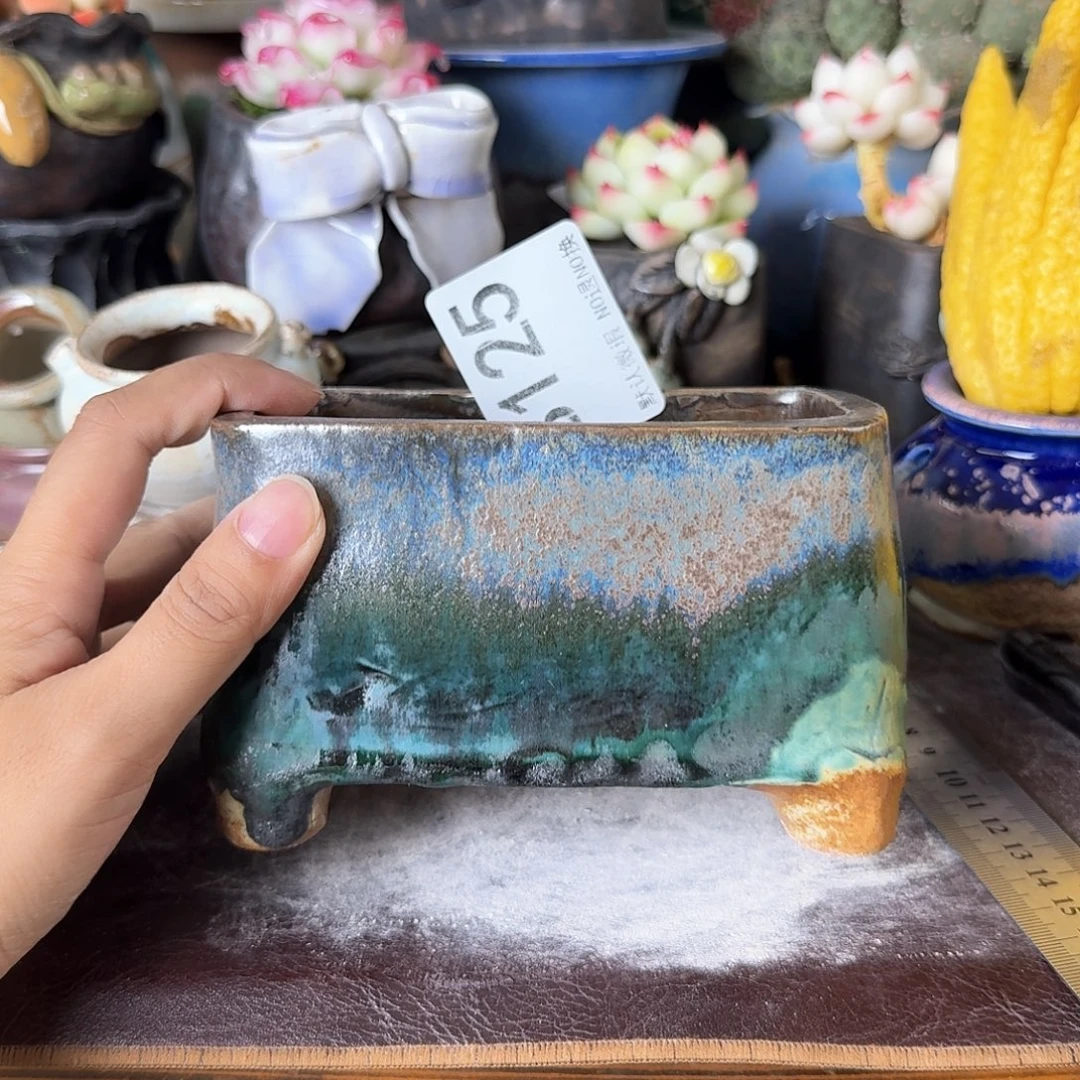 重庆小燕子欢迎大家125