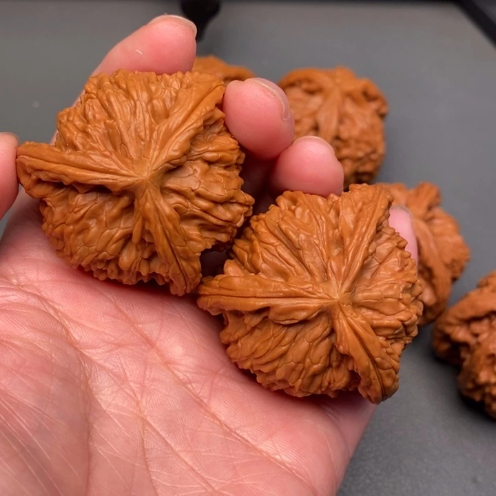 驰***下木质类核桃核桃核桃