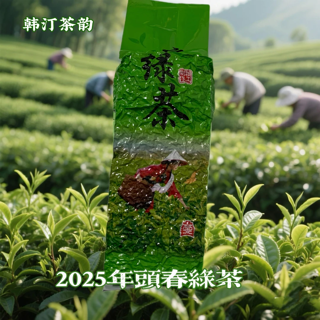 韩汀茶韵2025年头春绿茶