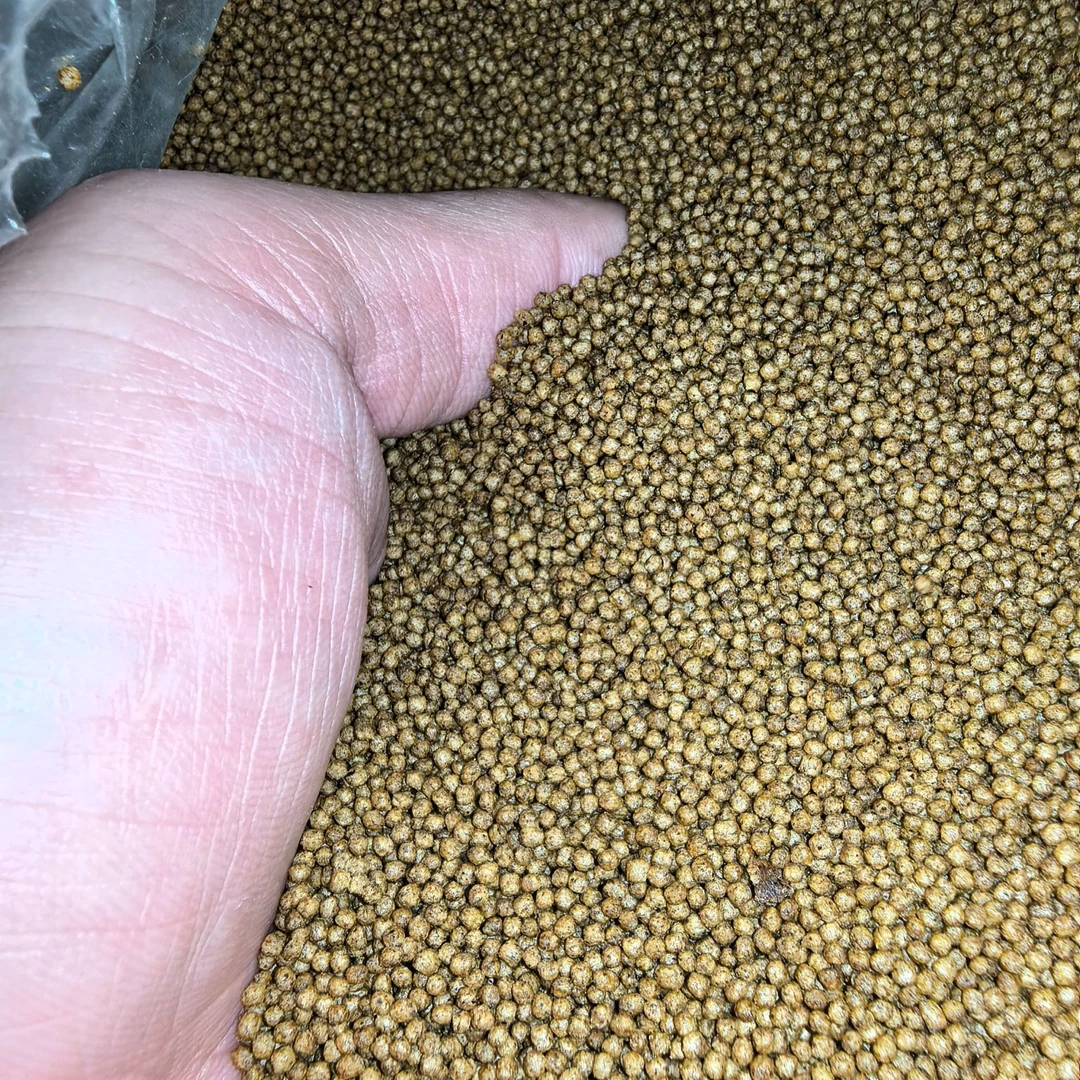 鱼馆自用高蛋白鱼粮 小颗粒上浮料 营养丰富膨化料