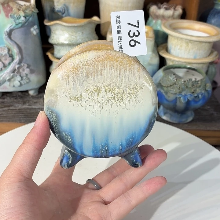 花盆瑕疵福利来咯