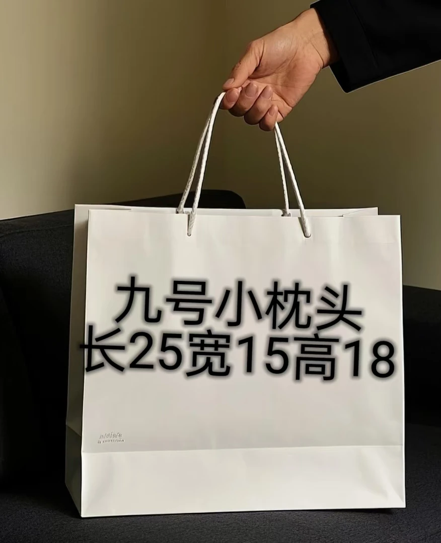 （B）9号小枕头包气质轻奢A6507-12