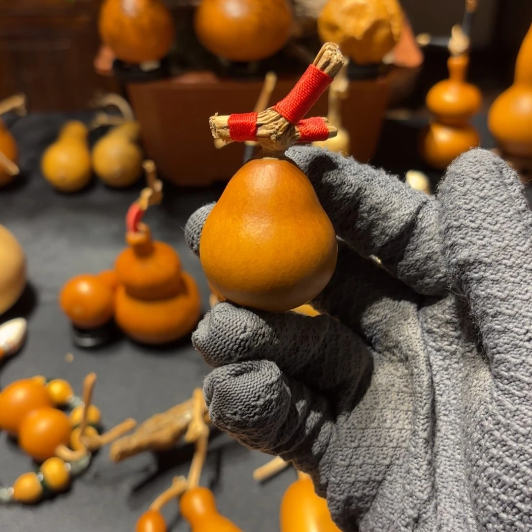 青***斜葫芦8888888888888888