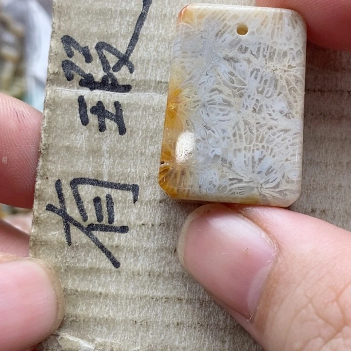 硅化珊瑚（珊瑚玉）未镶嵌颈饰?***?小