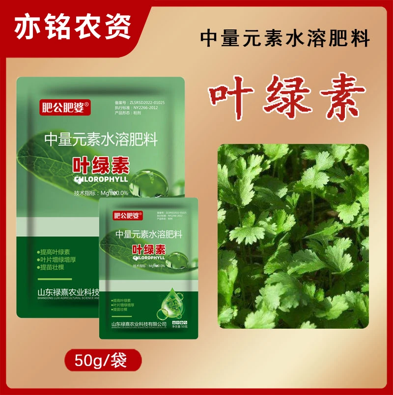 【实惠装】叶绿素正品绿叶壮苗50克一包中量元素水溶肥杀菌药菌立清
