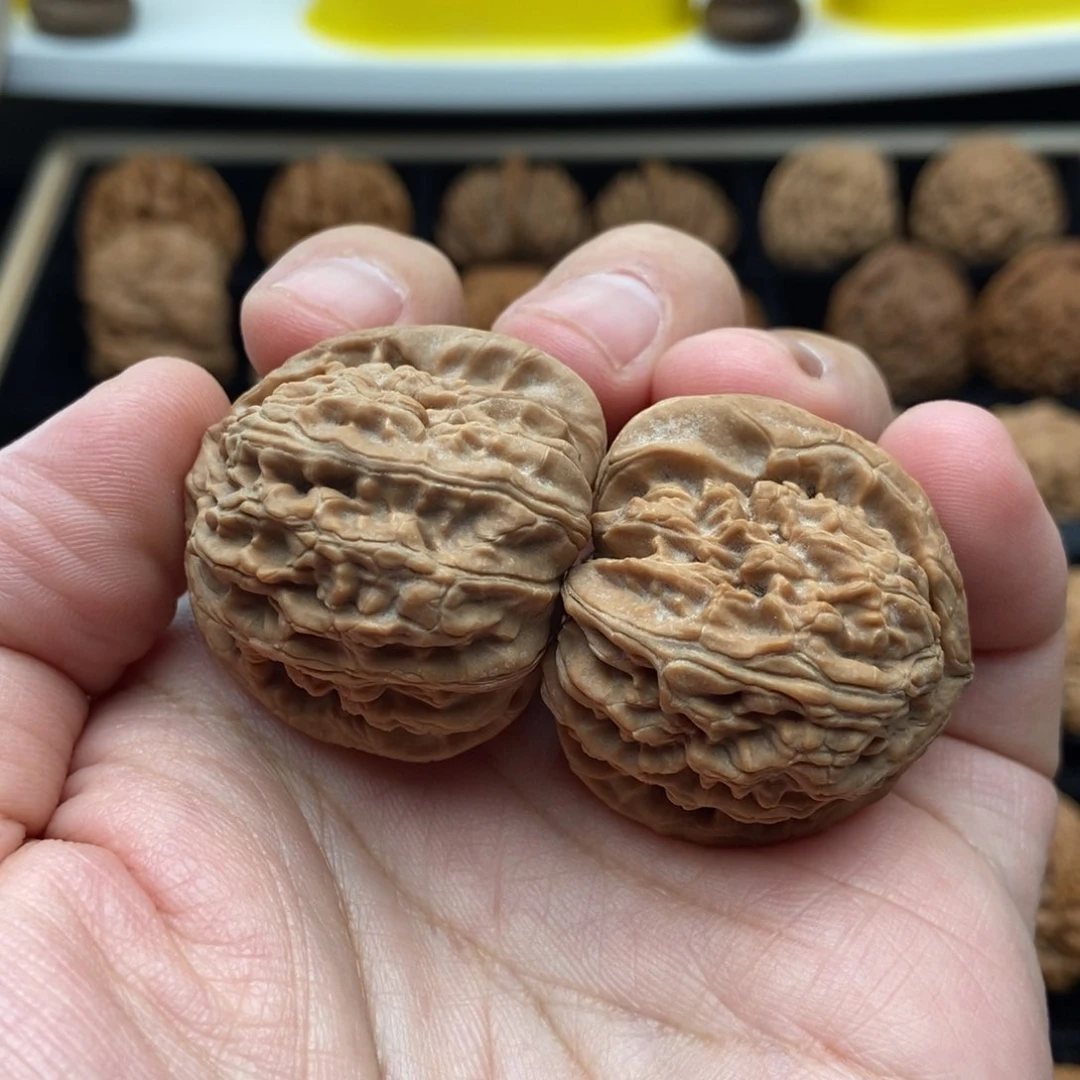 文玩核桃吊坠3501三角白