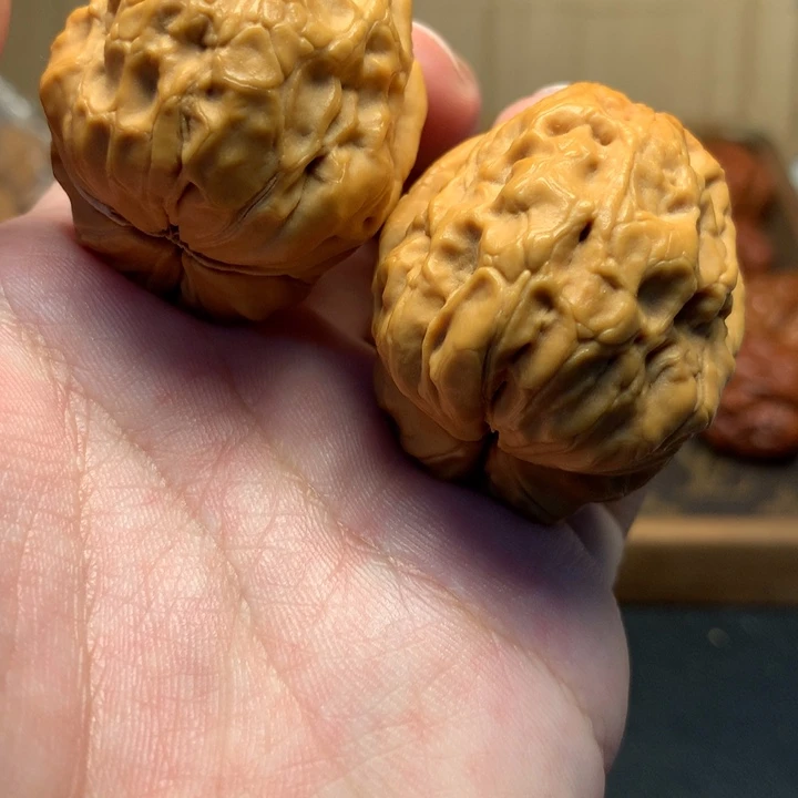 文玩核桃把件42荷叶金蟾