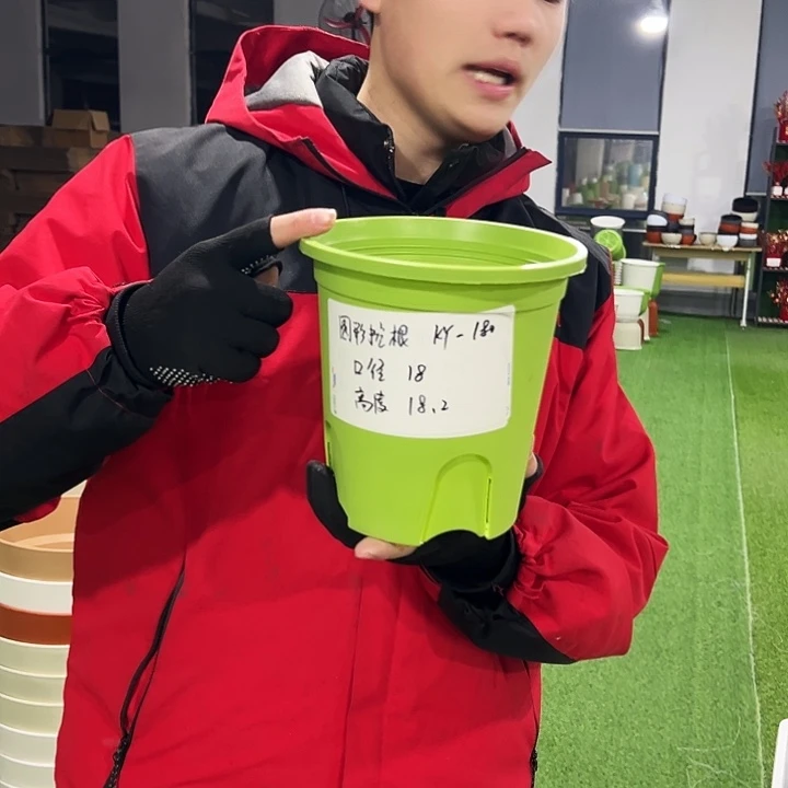 正品圆控口18高18果绿色8只无托