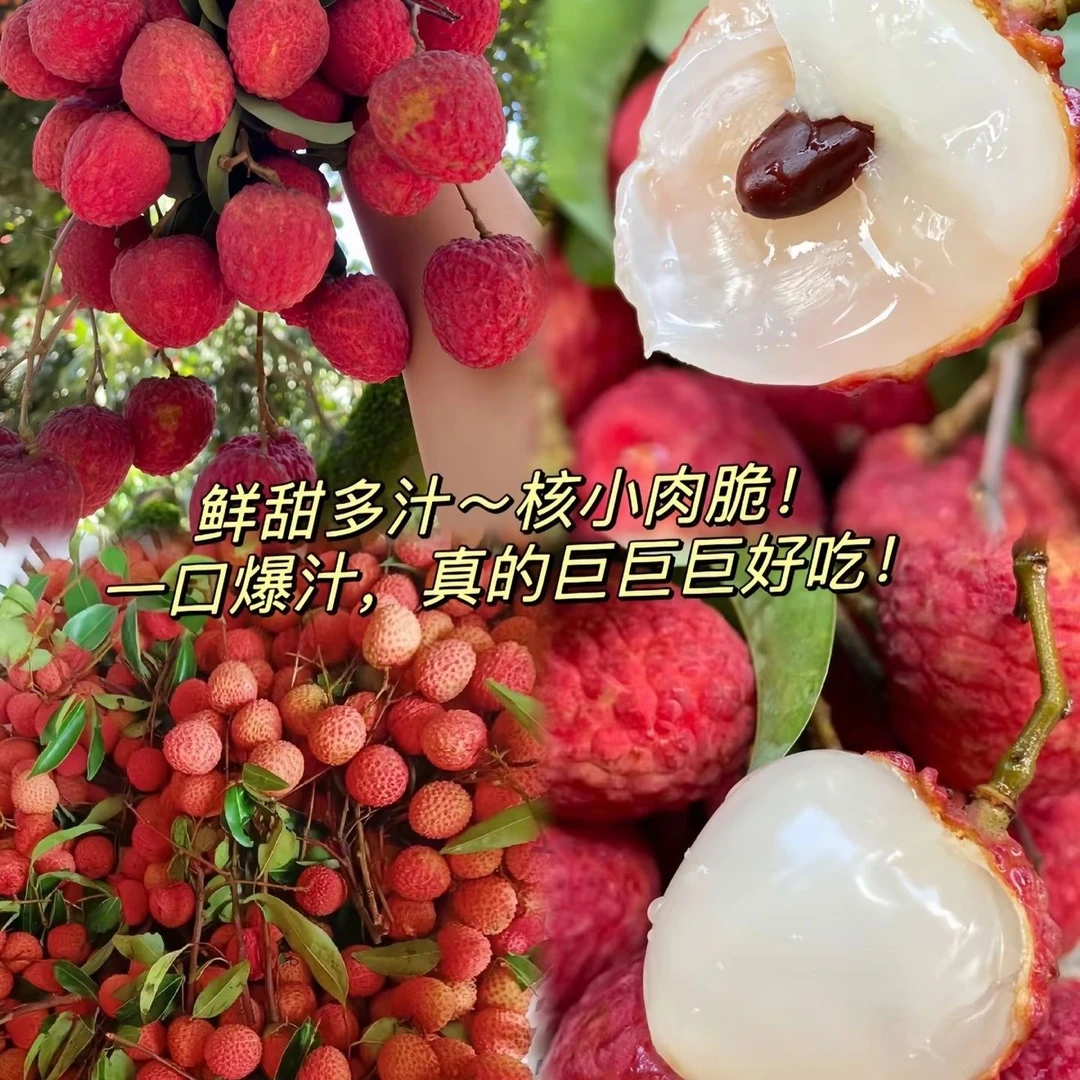 广东桂味荔枝新鲜应季水果桂味荔枝