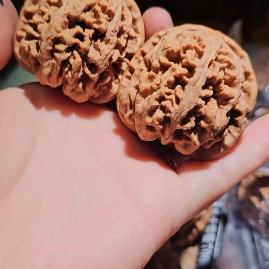 吊坠文玩核桃45粗筋