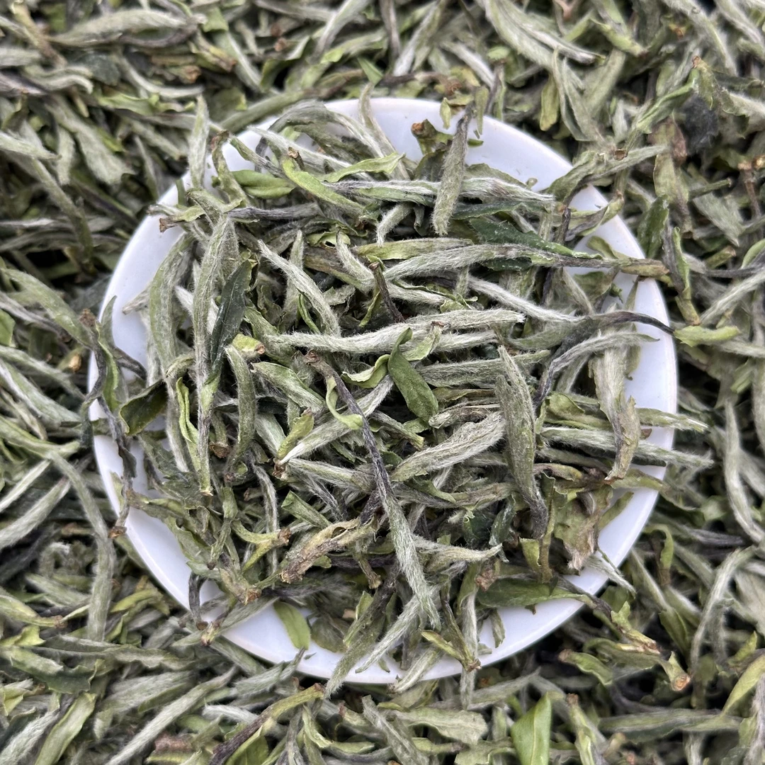 【熊厂长白茶】2025年贡眉王群体种小菜茶