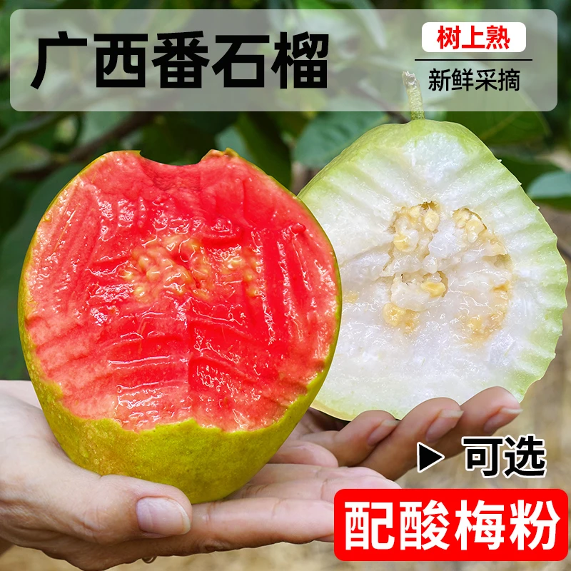 软心红白心芭乐3斤/5斤红心番石榴芭乐树上熟新鲜水果普邮ttt