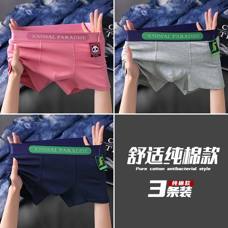 RSRDDY3条装男士内裤新款纯棉四角短裤头男款平角裤高档抗菌透气