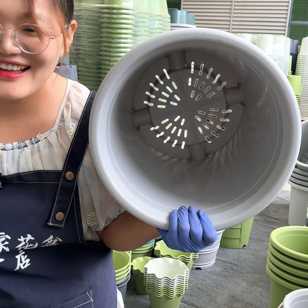 四季盆7#灰白色6个无托