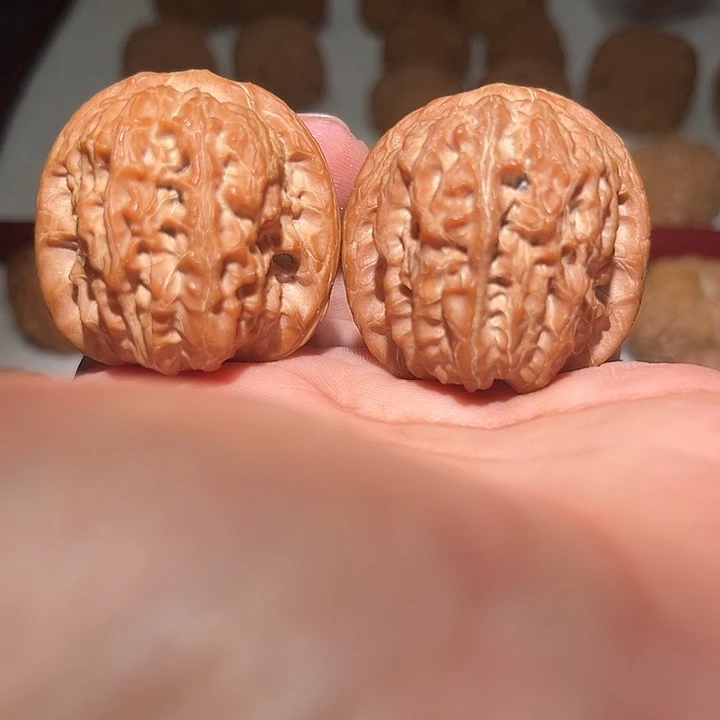 木39全品血麒麟。