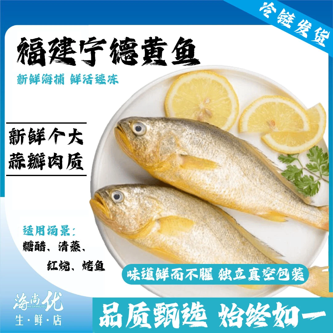 深海大黄鱼7-8两/条*4条正宗海捕新鲜活鱼速冻