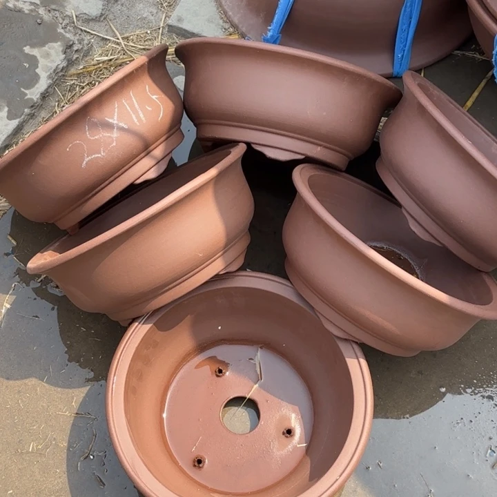 紫砂花盆   100-6。 28-11.5