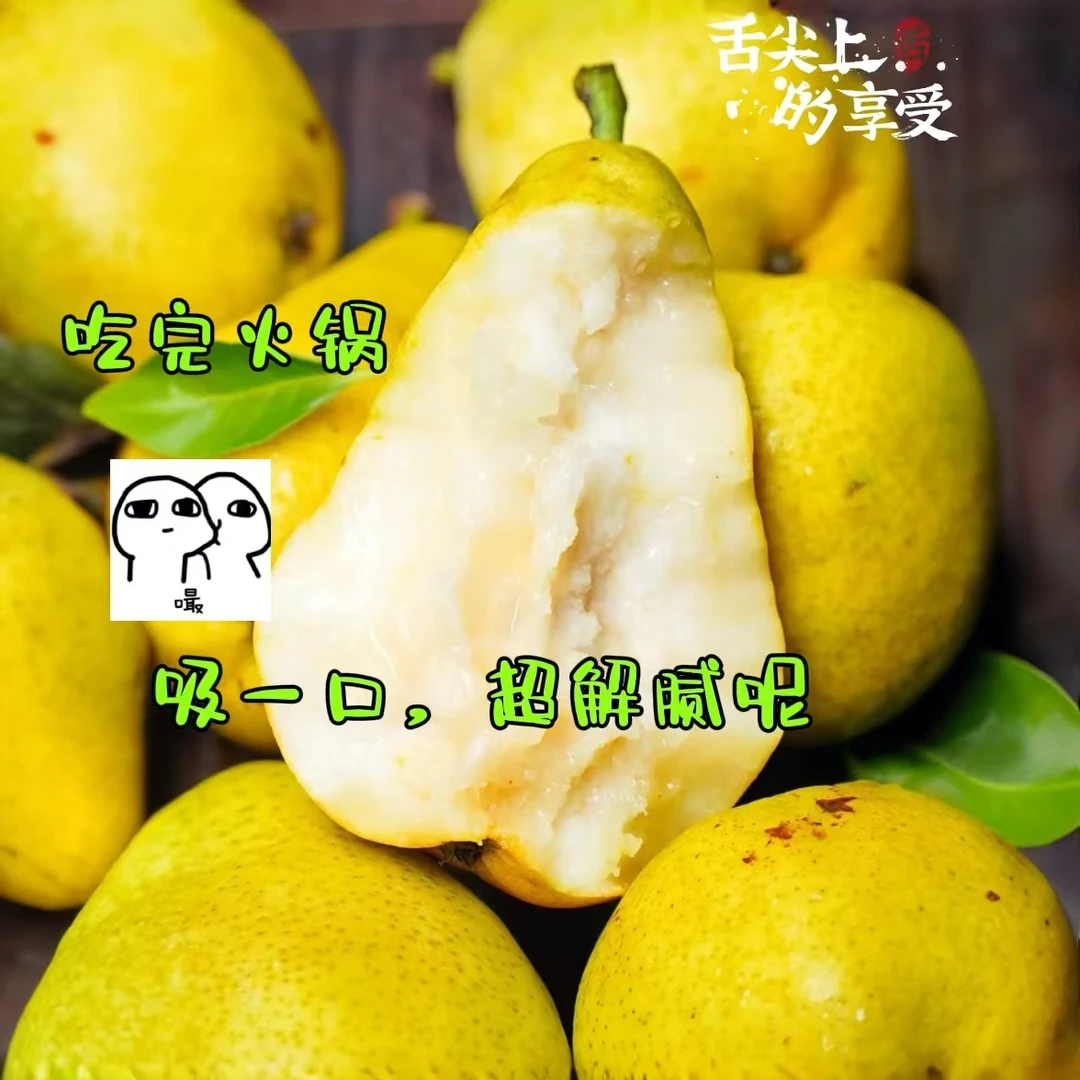新鲜水果太婆梨香蕉梨甘肃洋梨大头梨软梨老妈子梨笨梨茄梨包邮