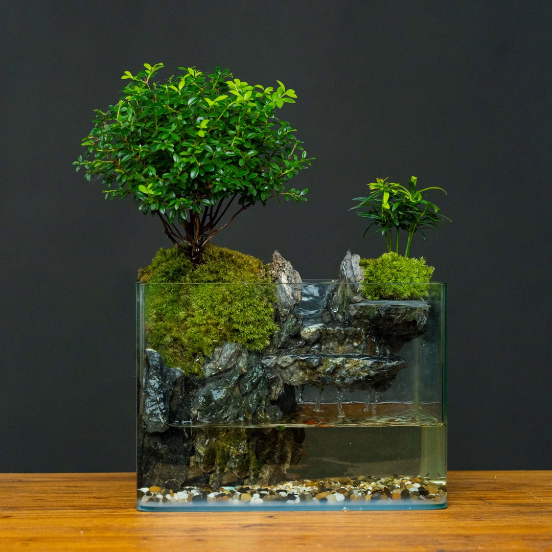 福利 坦途流水-尺寸长25宽高厘米成品桌面绿植客厅水陆缸可养鱼