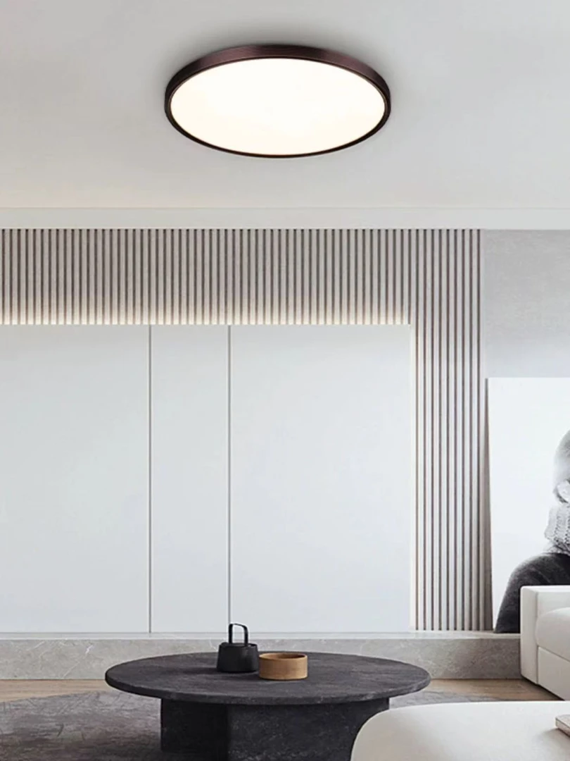 新特丽卧室吸顶灯极简客厅餐厅书房灯