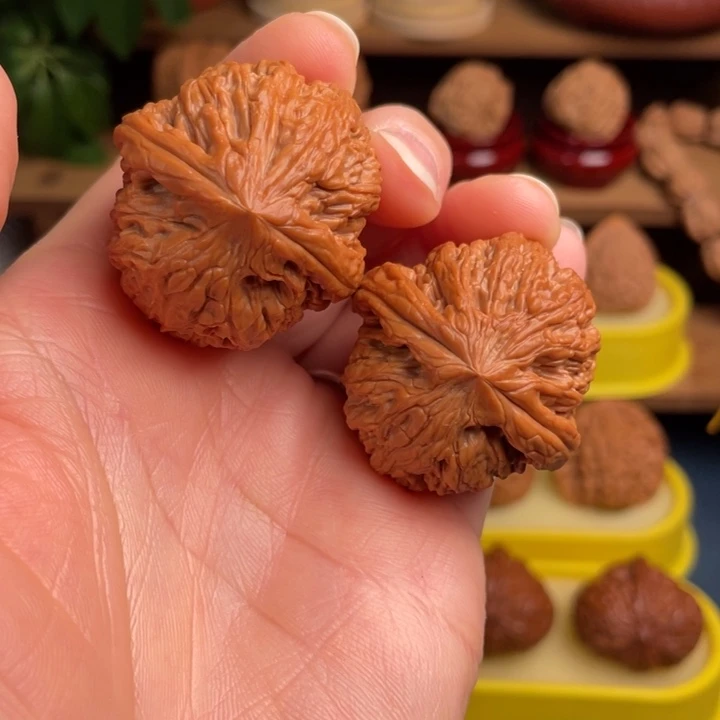 文玩核桃把件蛟龙38