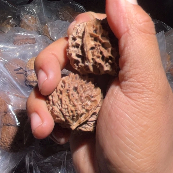 彭***老吊坠文玩核桃滇西173