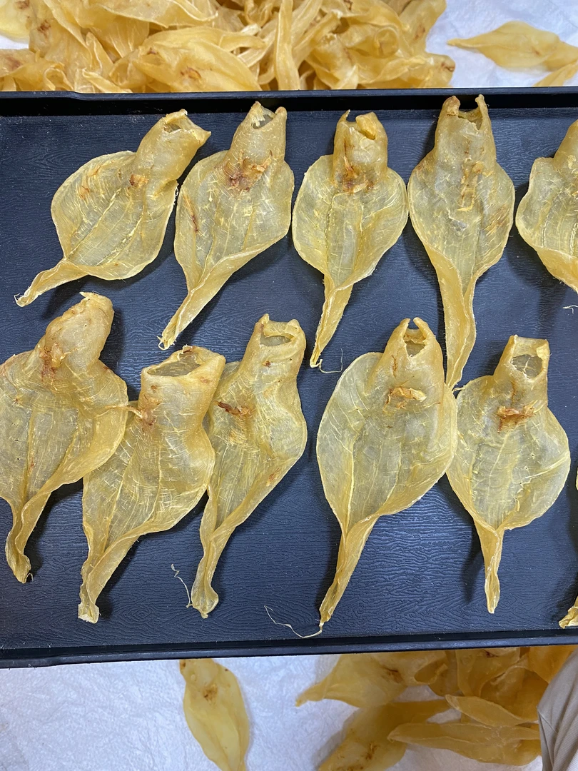 34头本港开片白花公胶 仙女白花公胶 女人胶 月子滋补胶250-500克