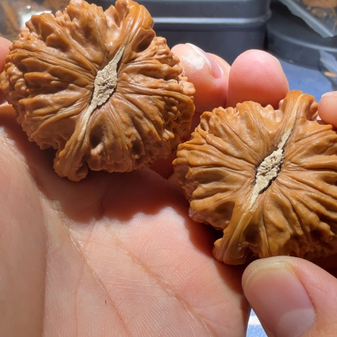 把件文玩核桃白狮子