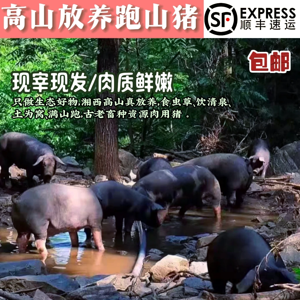 【猪前脚 猪后脚】 熟食土猪黑猪肉顺丰冷链包邮