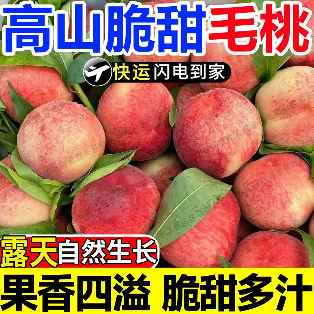 【脆甜】农家自种毛桃 应季鲜毛桃新鲜采摘整箱批发包邮
